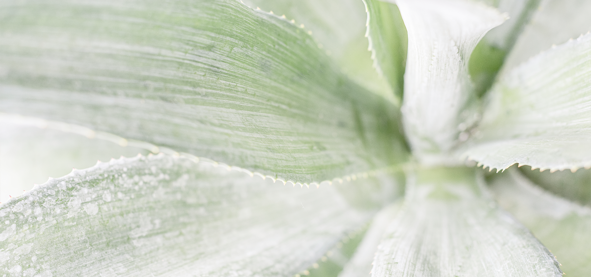 slider image slider_item_XGDxUV